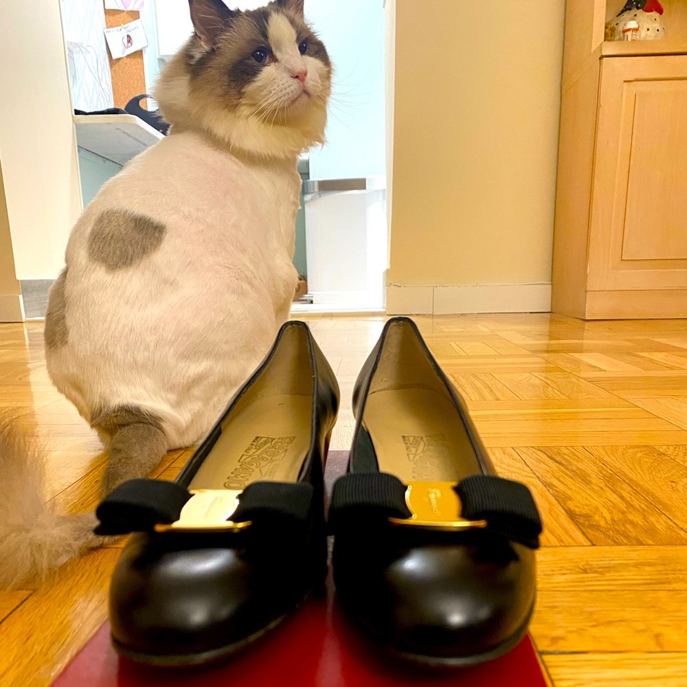 Salvatore Ferragamo - Vara Bow Pump - Black size 8